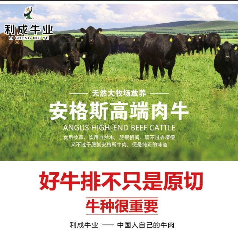 利成安格斯甄选