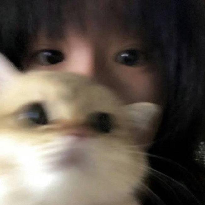 汇汇大王