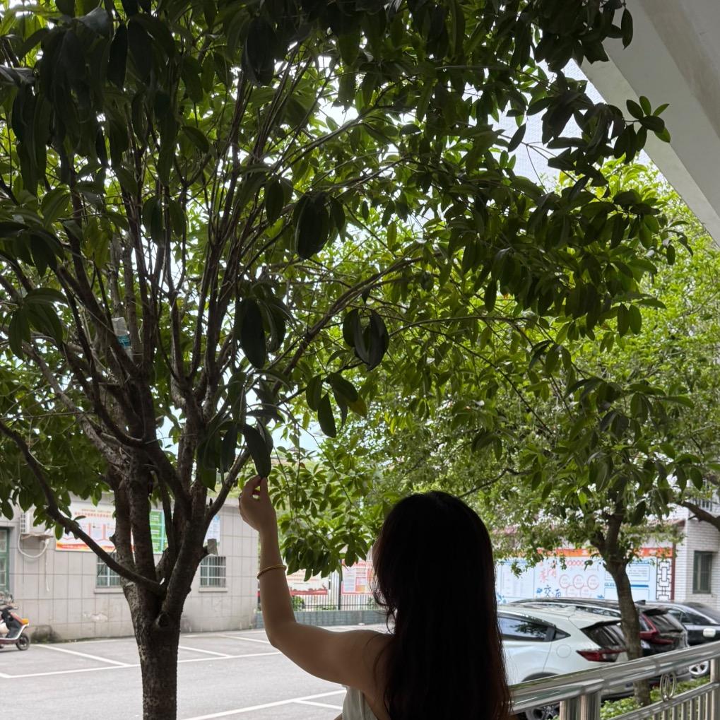 橙橙🍊（🧪孕中期）