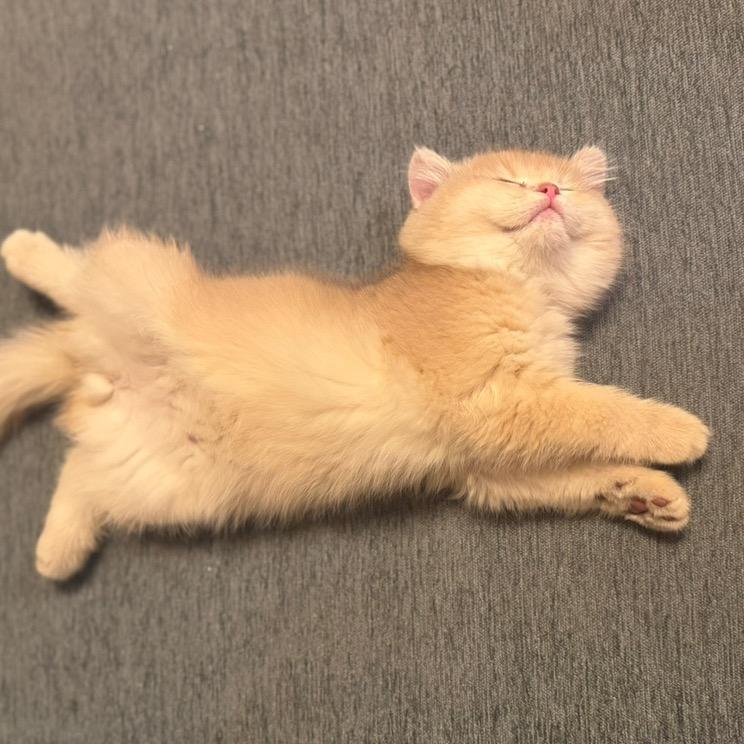 你压到我腿毛了