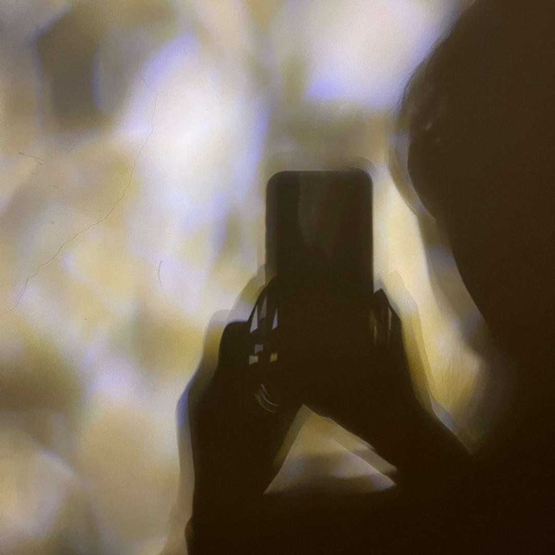 我是一棵婆婆丁。