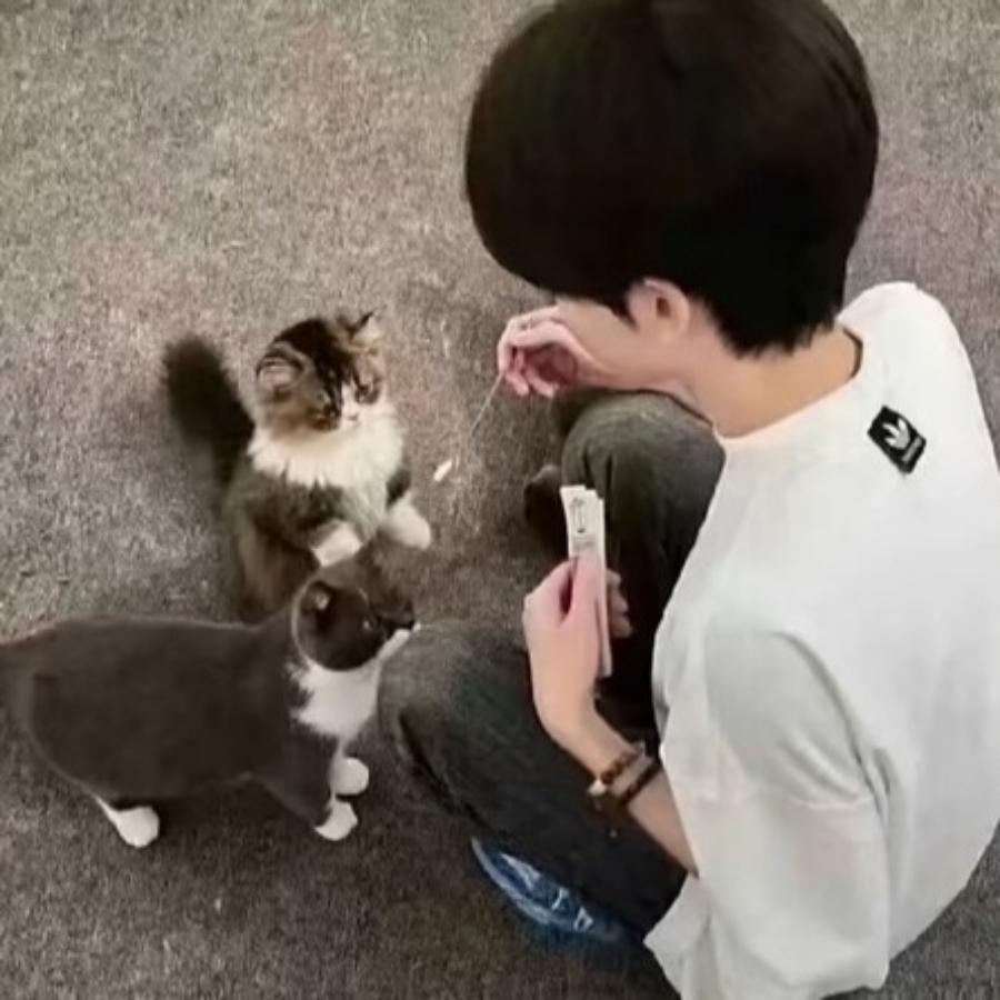 ❤️刘姐
