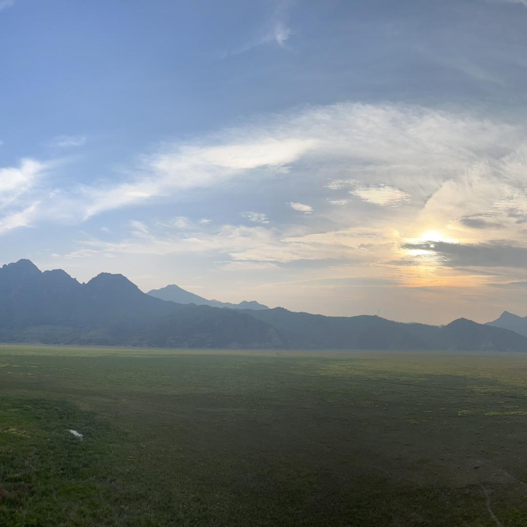 🇻🇳越南王🇻🇳