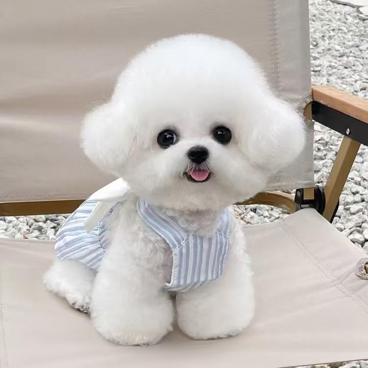 大鹏犬业