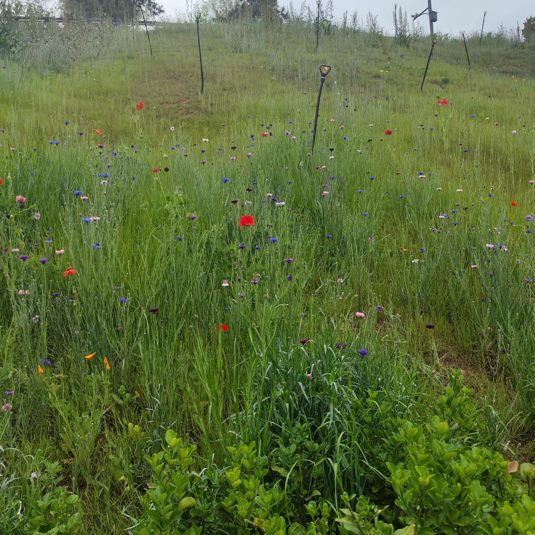 友客便利延安三路店