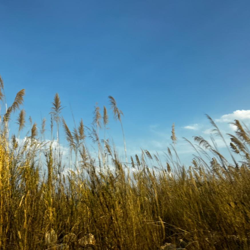 想开火箭的拖拉机手