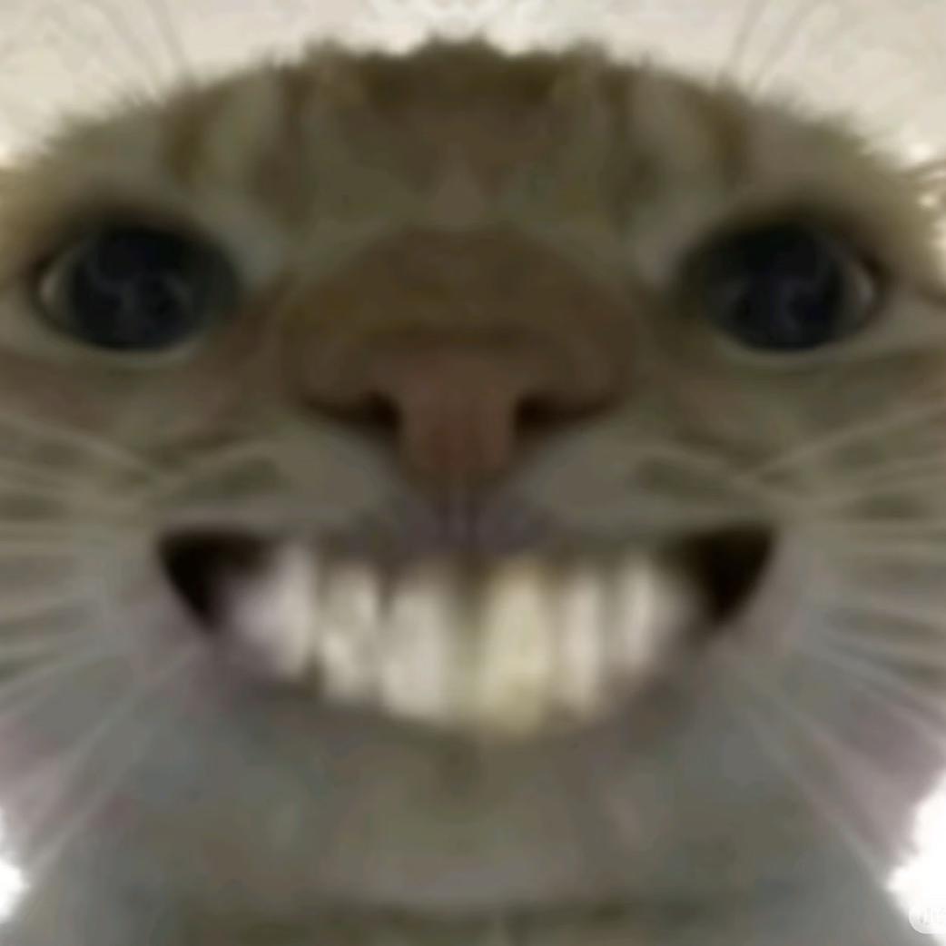 011（三角洲行动）