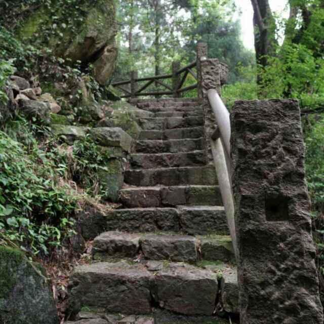 大风起兮云飞扬