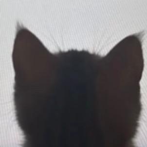 想当销冠的第888天