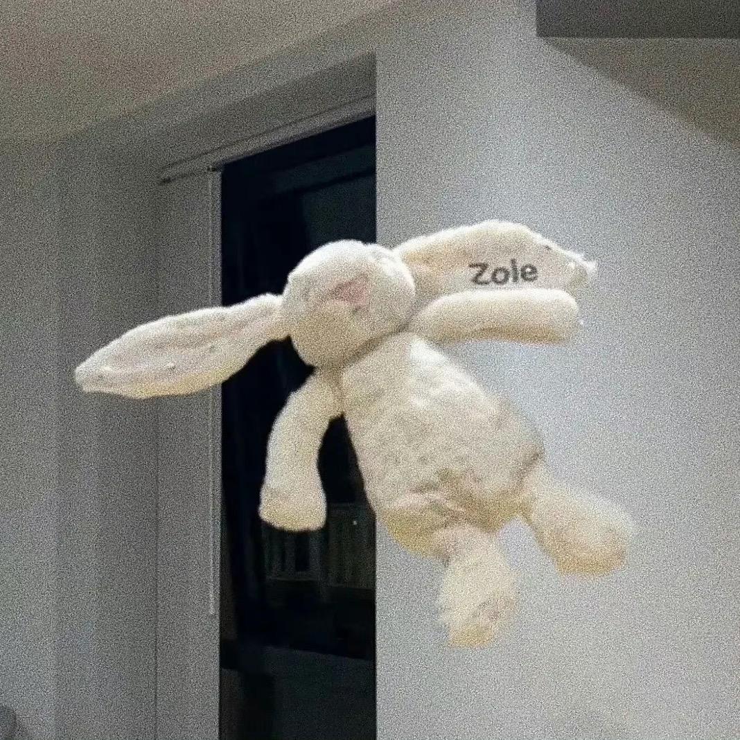 zZ兔🐇