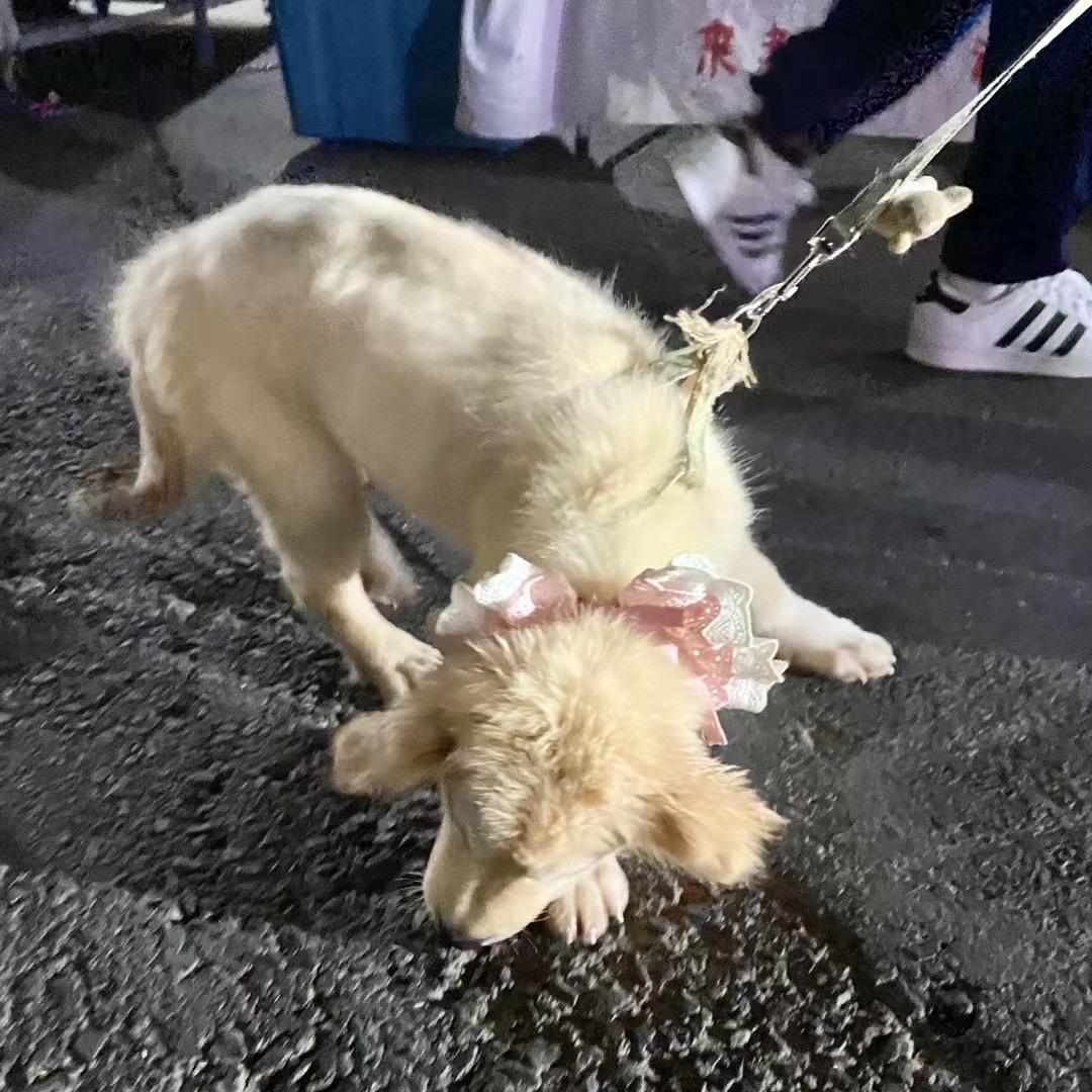 网恋被骗螺蛳粉