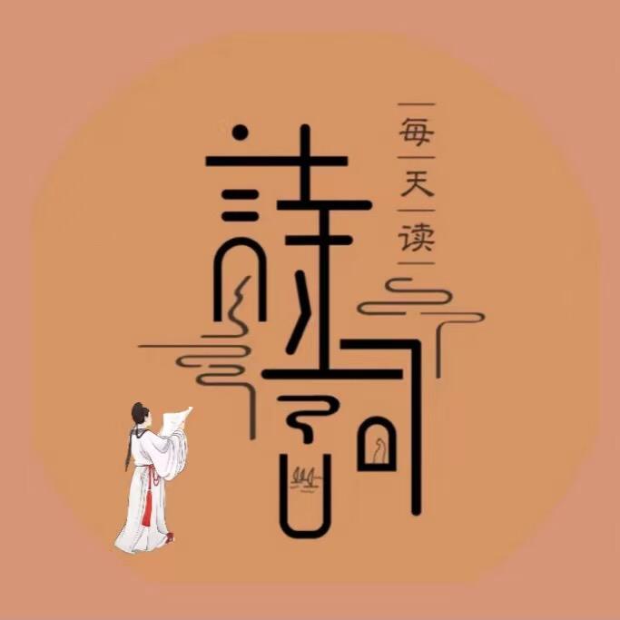 车圈小迷糊