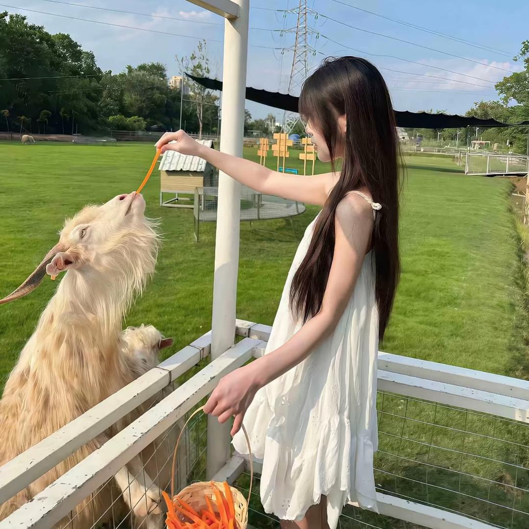 你是我的第一春
