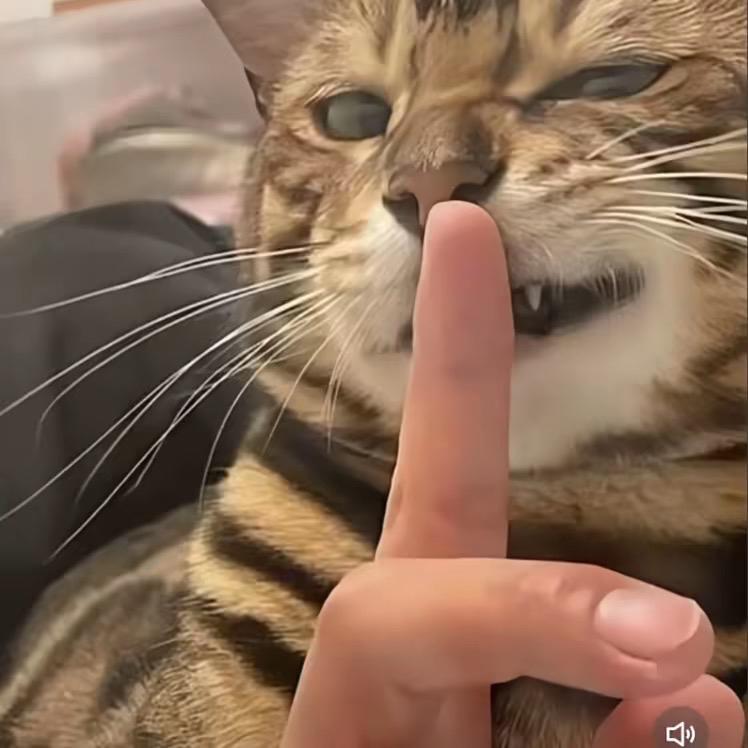 @请叫我～～～谭小姐（补胎）