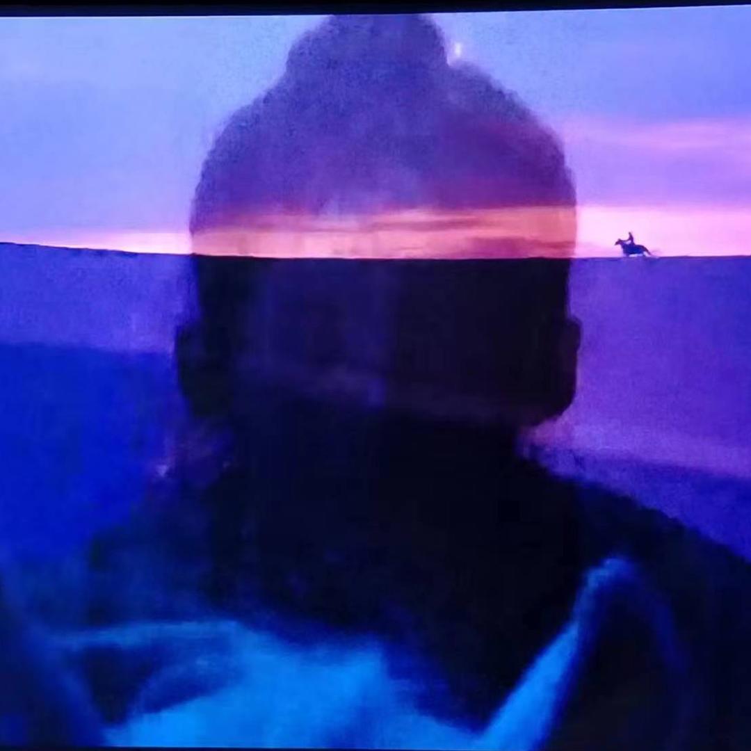 躺平晒太阳的灰太狼