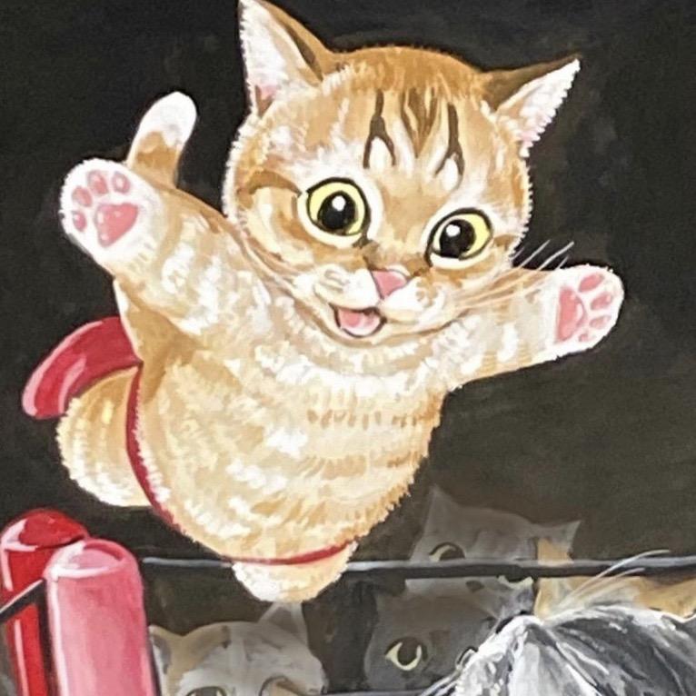 灰灰猫猫