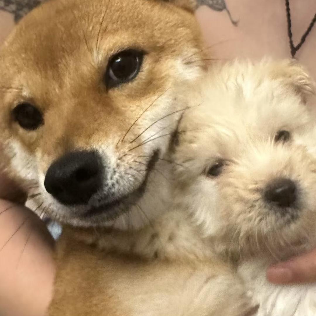 豆豆点点吖