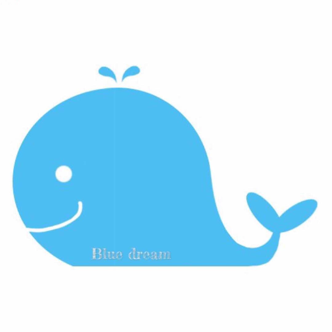 我是璐璐（全国自驾游中）