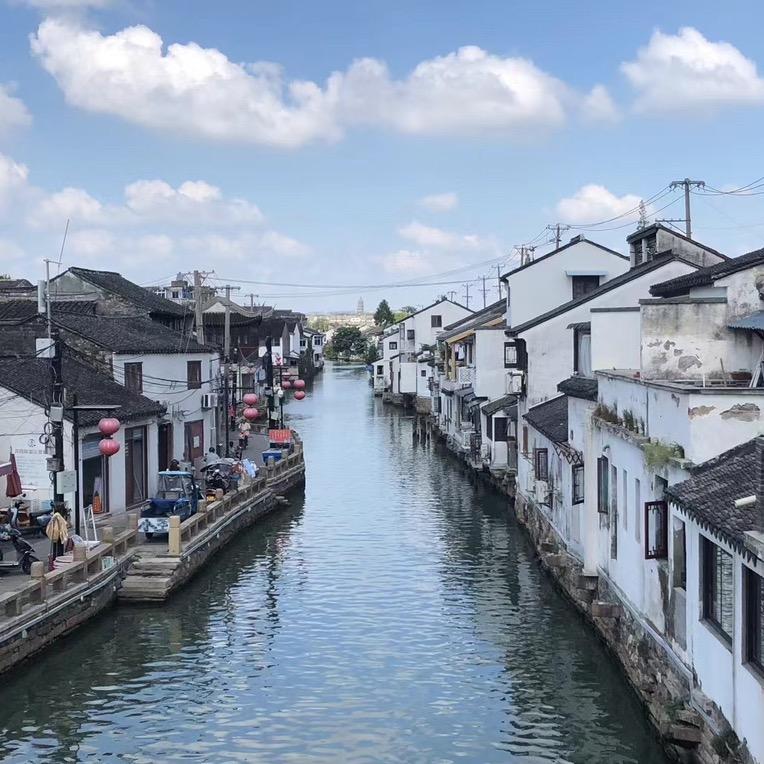 🌊向阳而生🌅