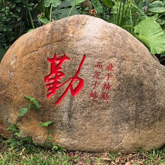蓉玛传媒.
