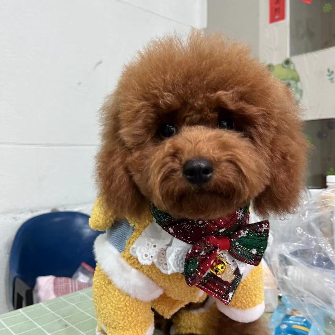 A仁萍市政工程有限公司