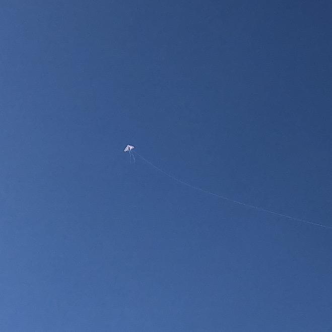 夏天