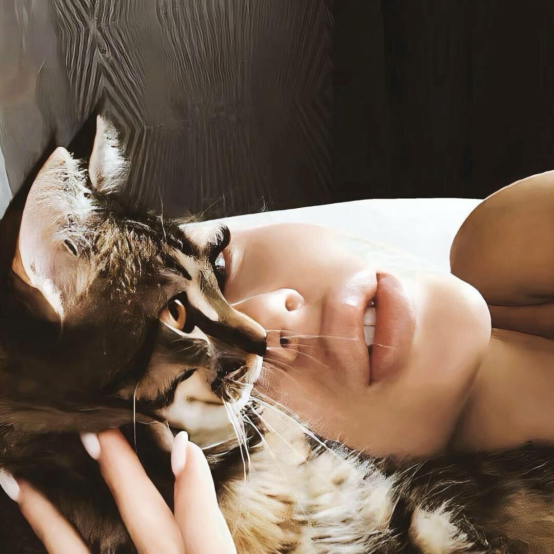 猫宁