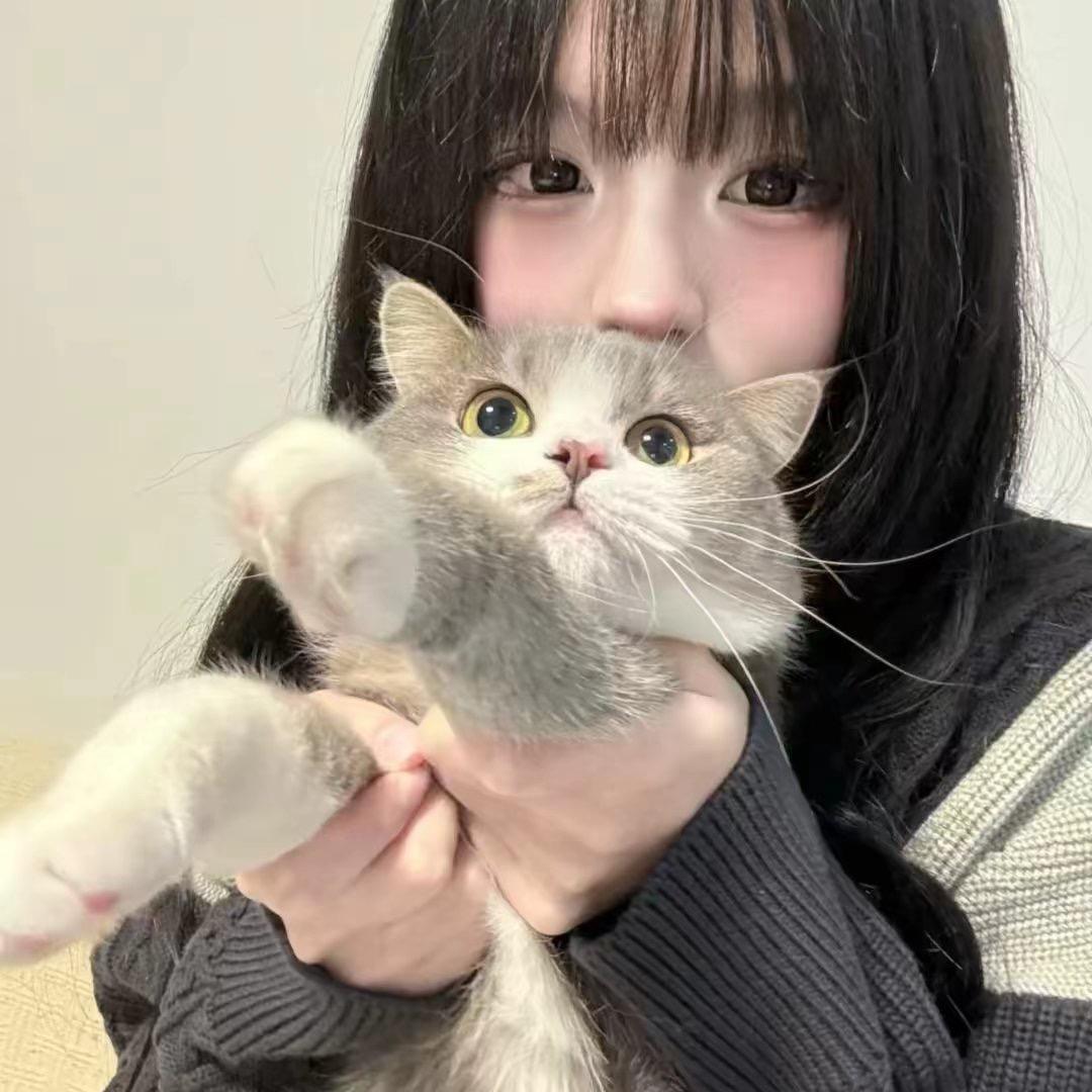 蛋挞猫