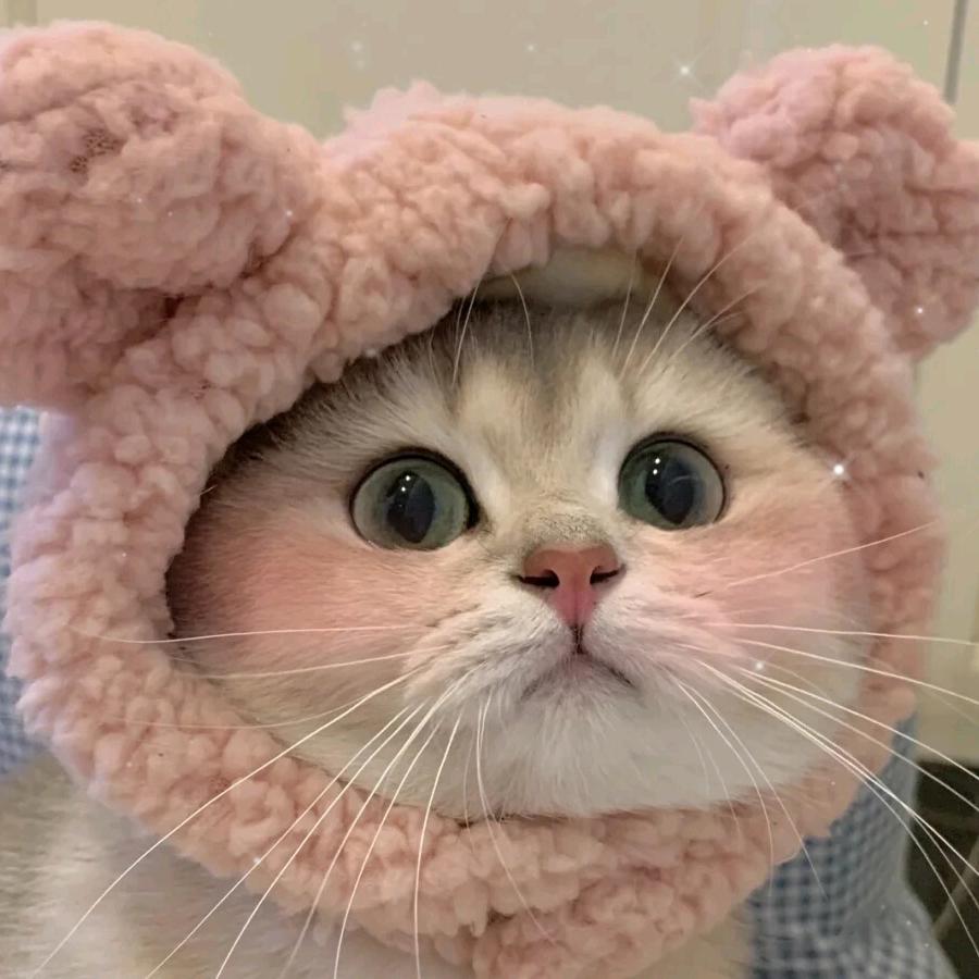 健康快乐就是我