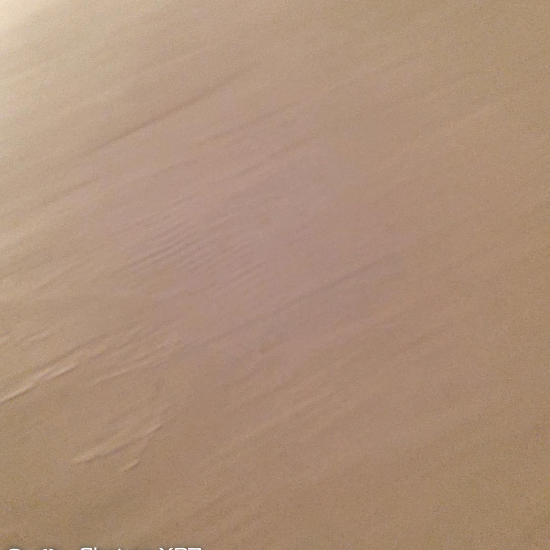 刘宏珍