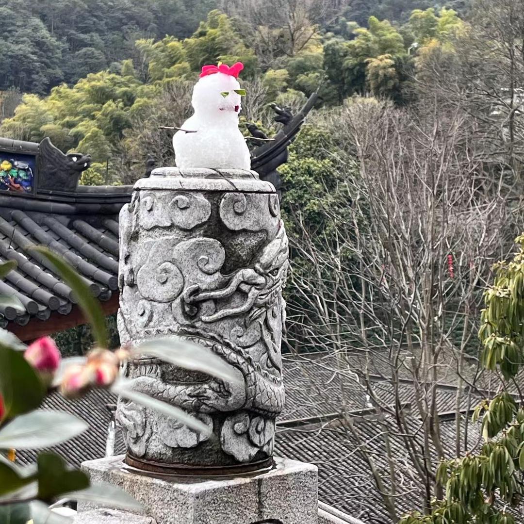 小跑腿胧月