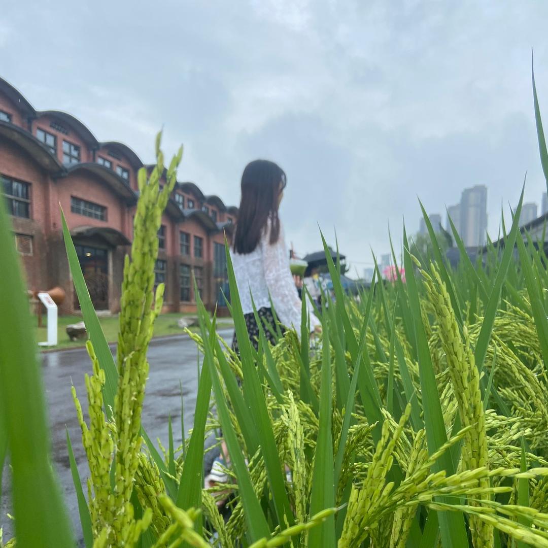 是章不是張啦🍬