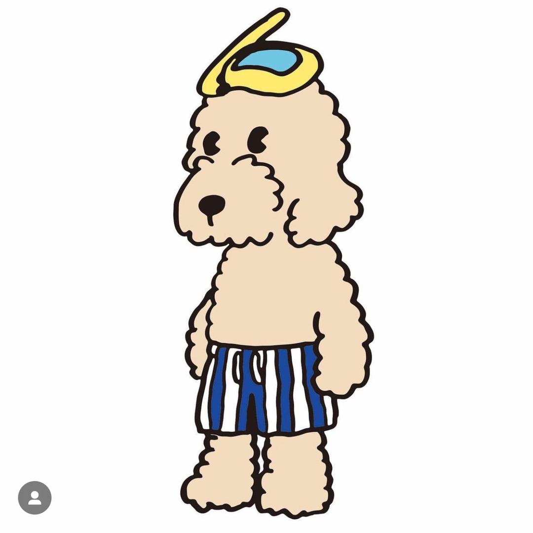 DcZoo萌宠周边