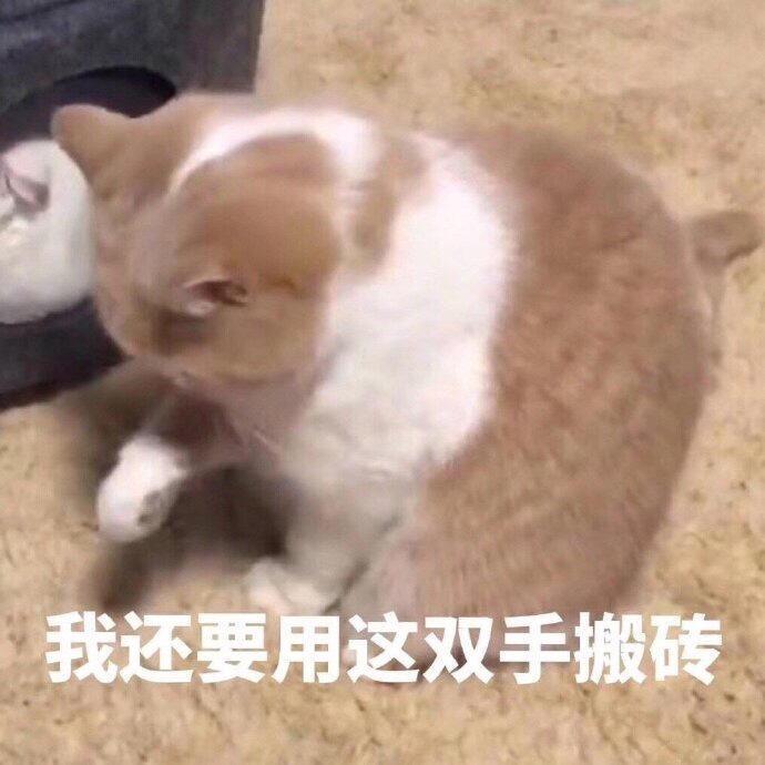 圆形林