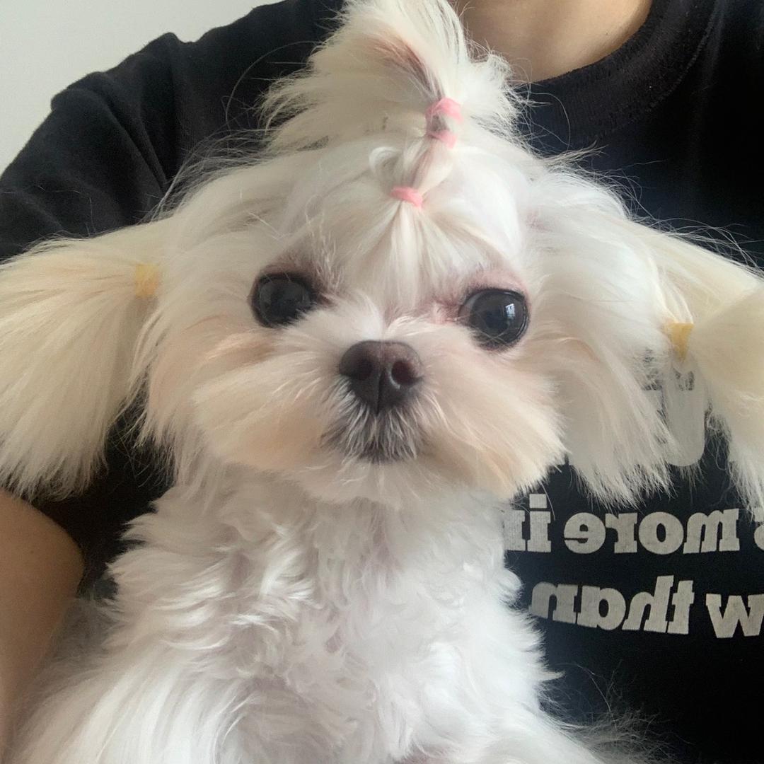 周一不上班