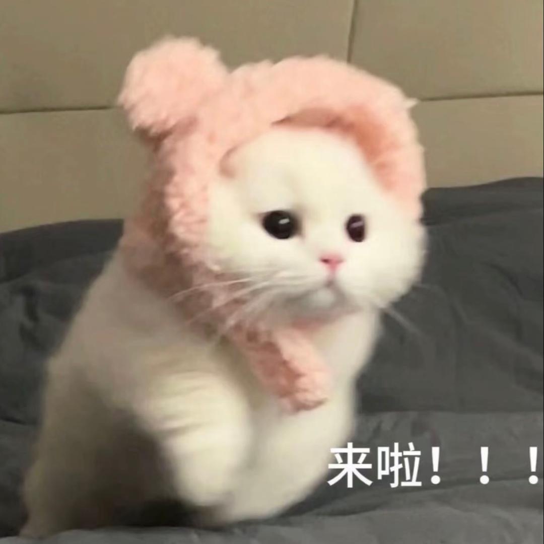 小韩家手工现做汉堡🍔🍔（兼职摆摊姐妹