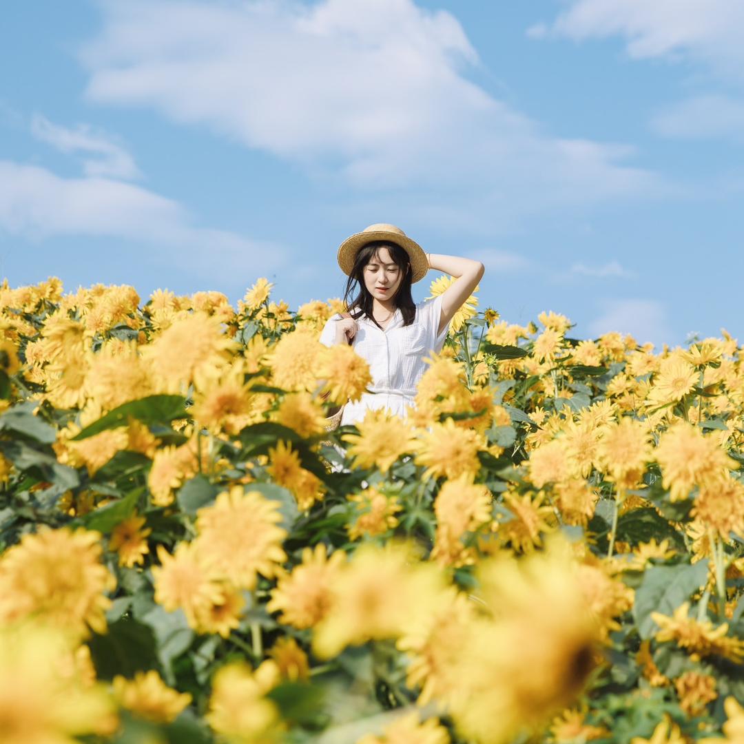 夏夏的英语角