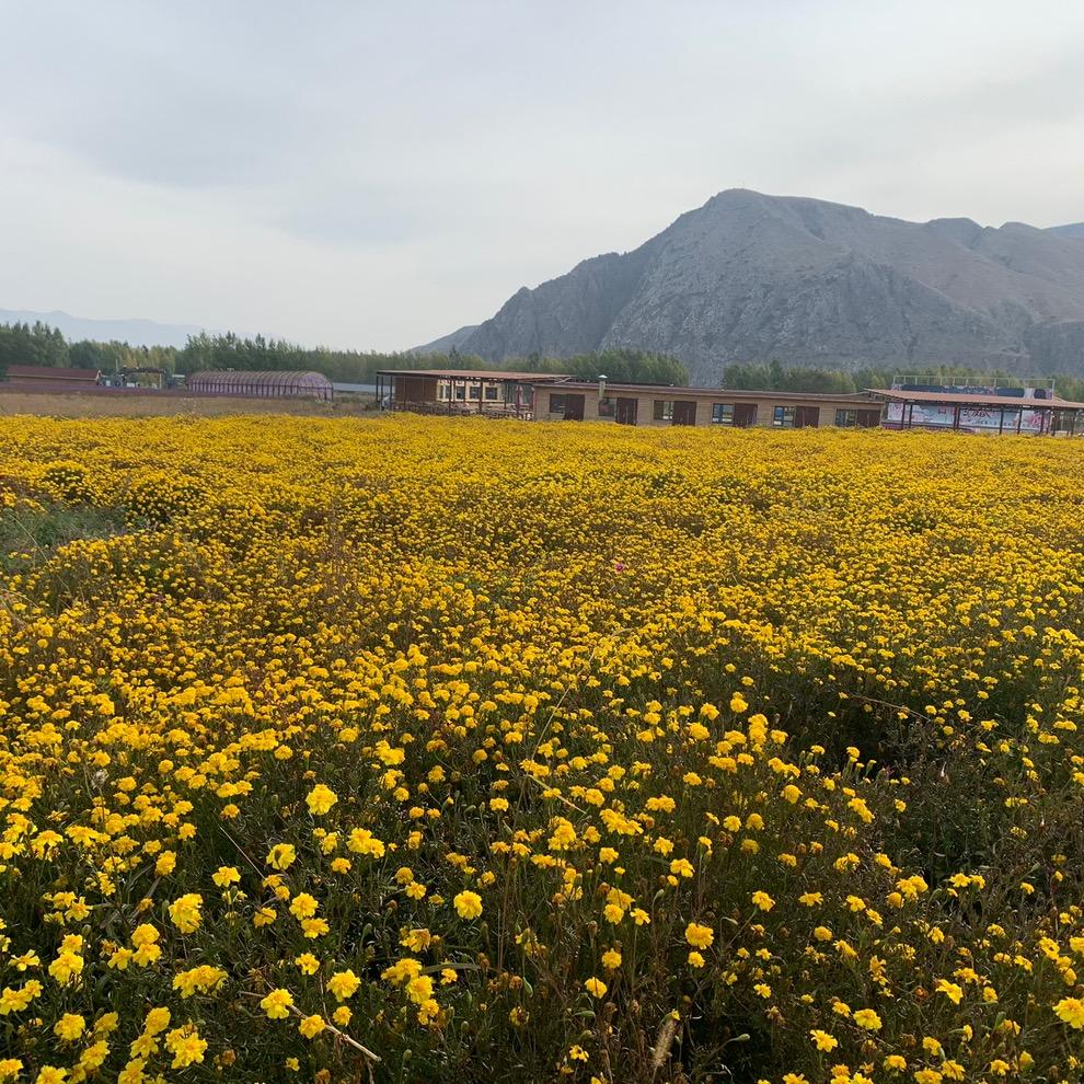 我是你爸爸