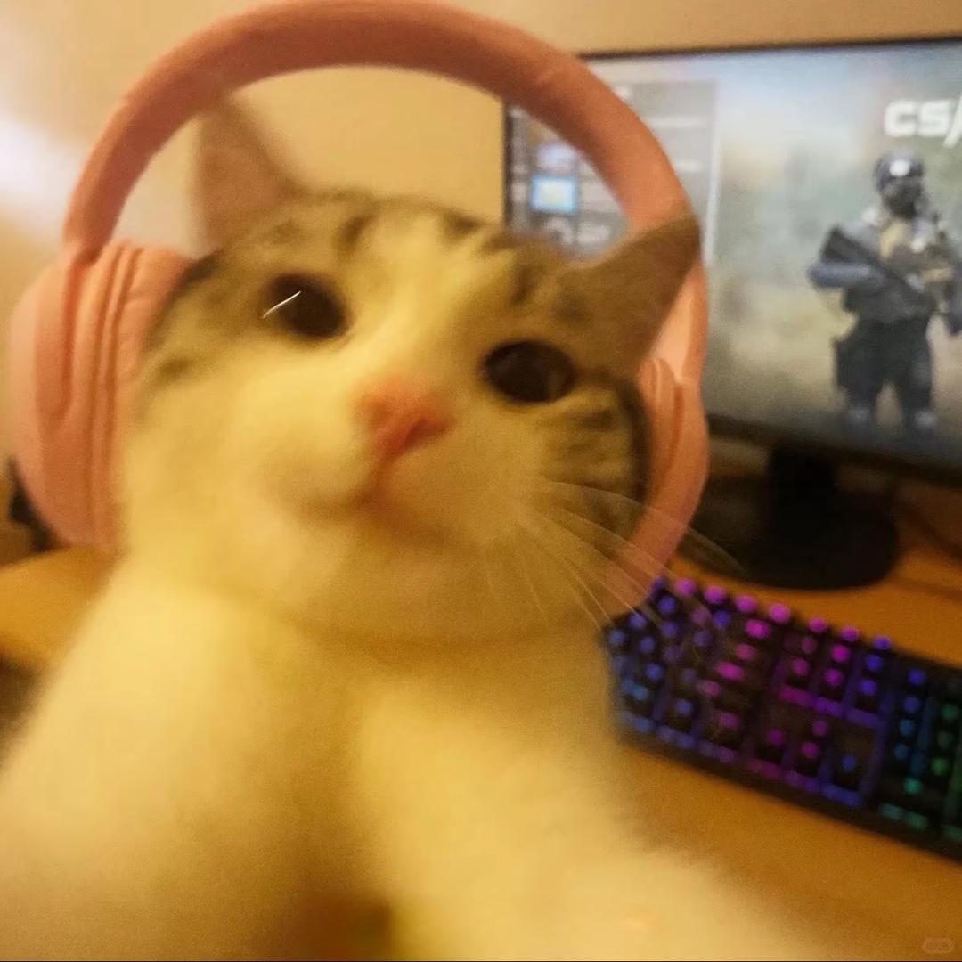止梵