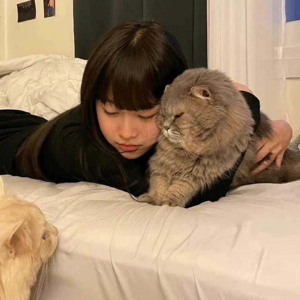 黑猫Studio
