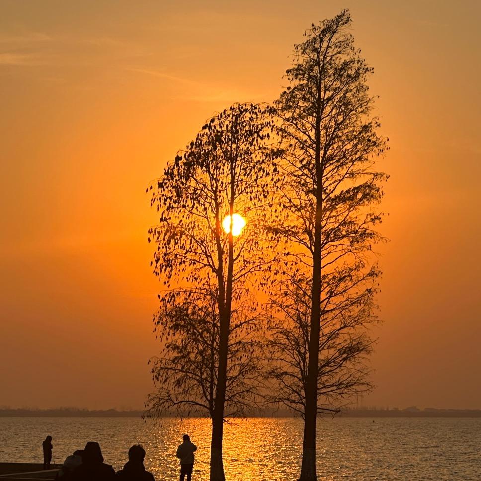 重生之我是树先生！