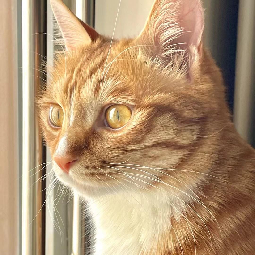 涛涛