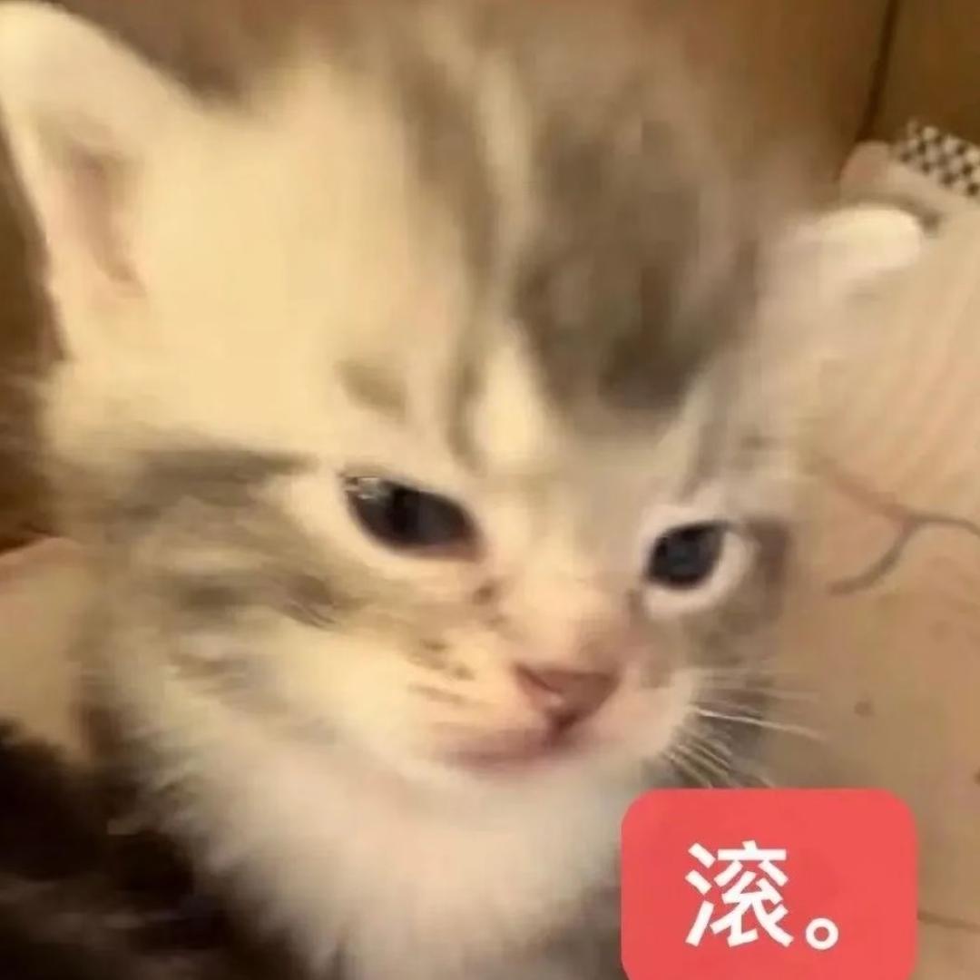 Tudou（模特版）
