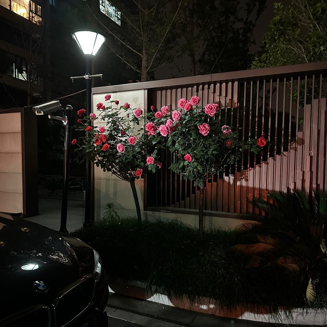 书途同归