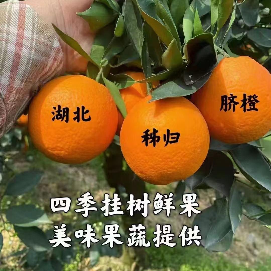 华橙甄选