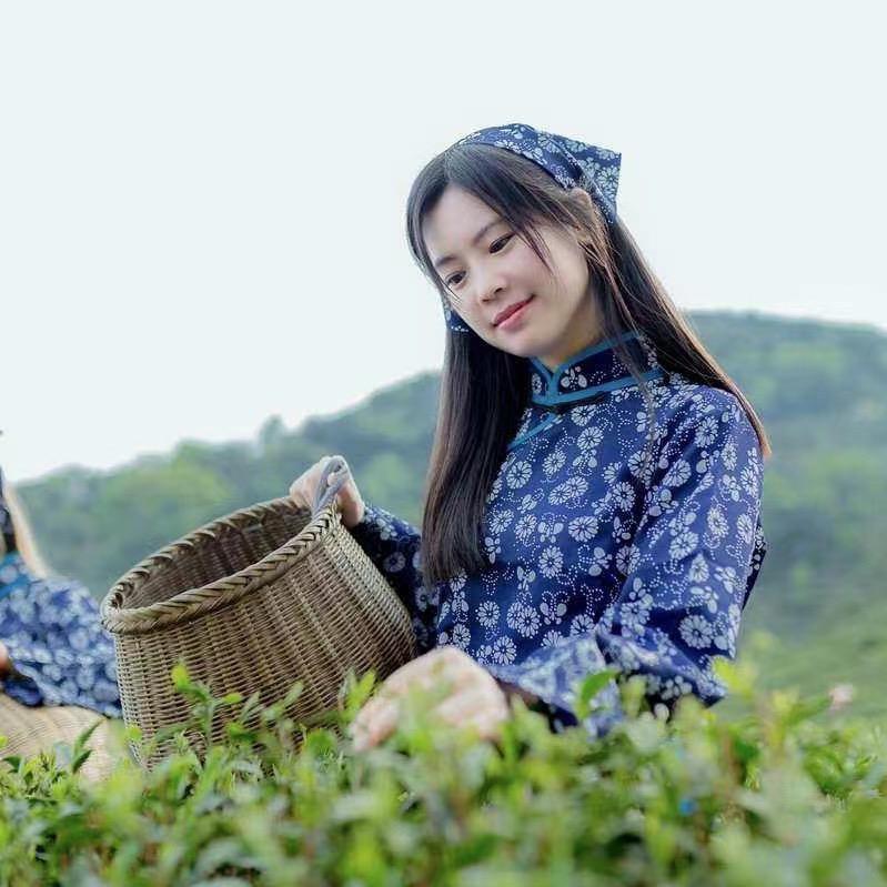 十二茶业