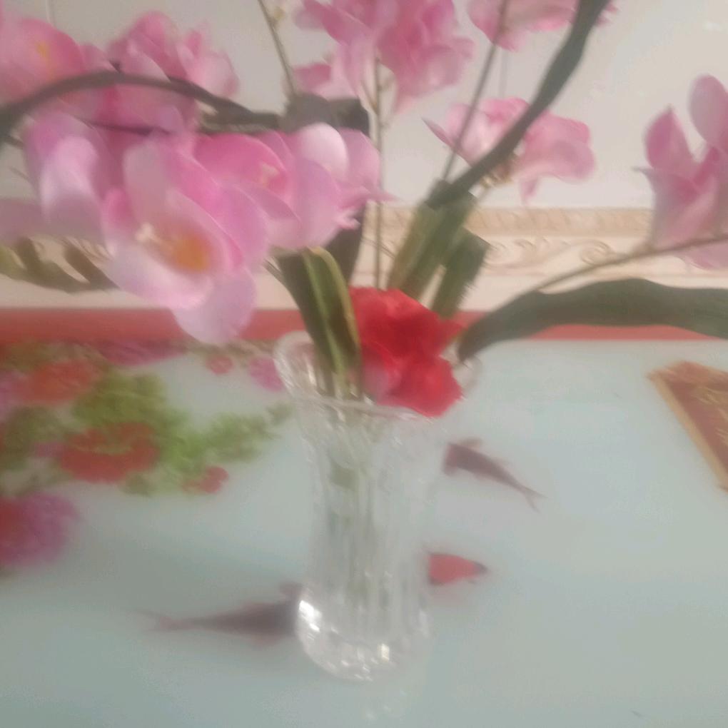 韩金华