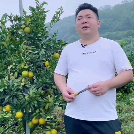 钉铛爸爸