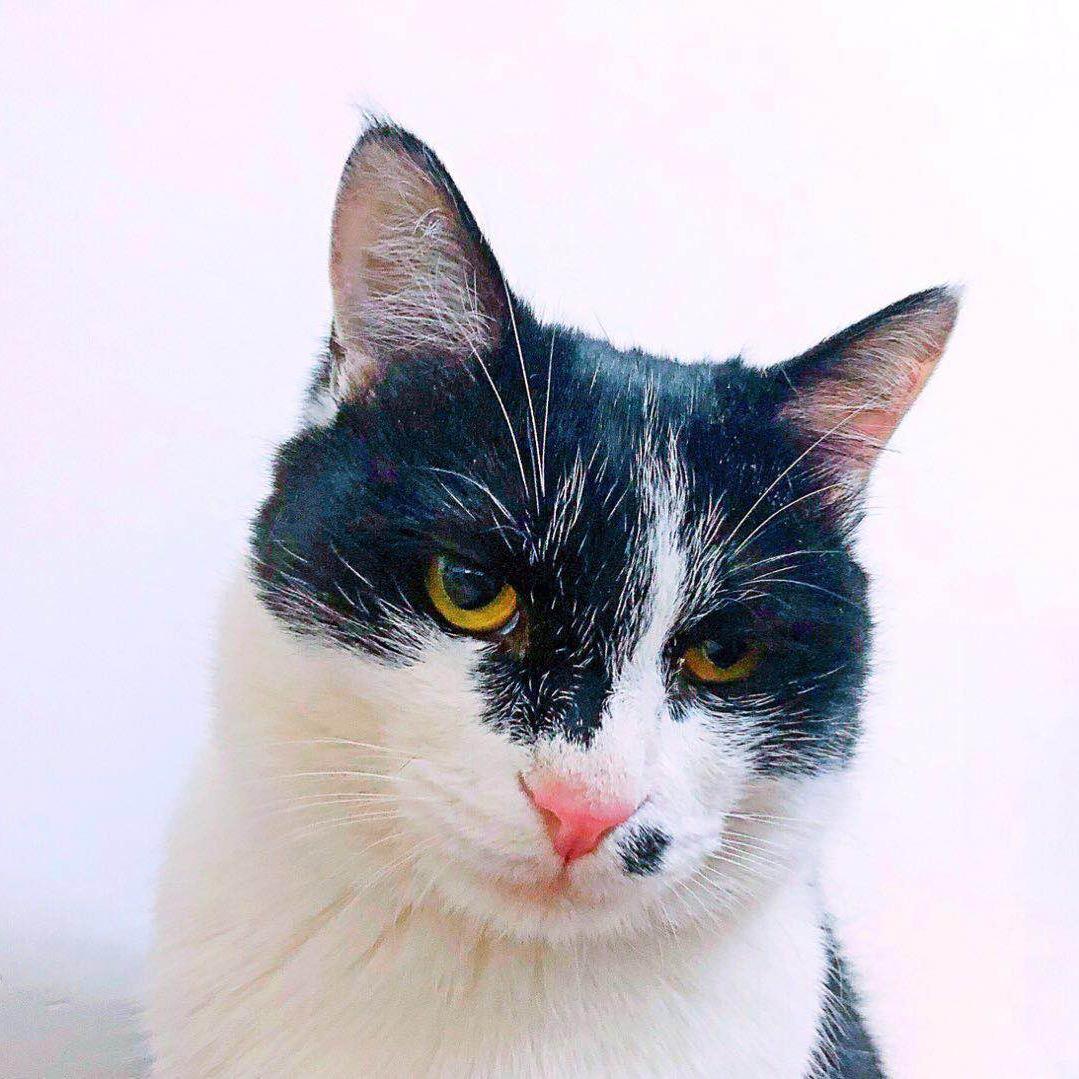 梁如意是老大哥