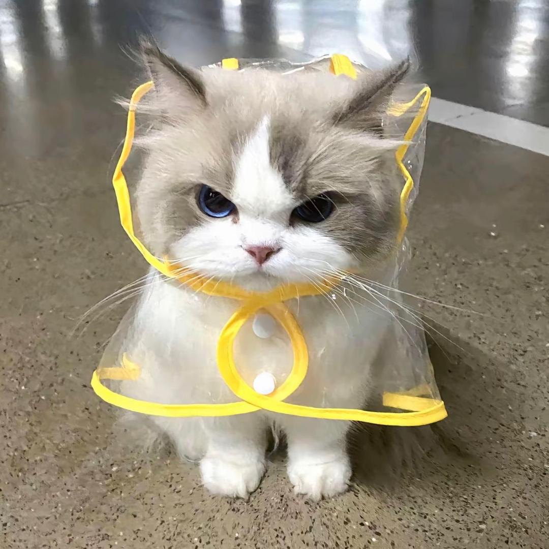 爱泡面的康师傅